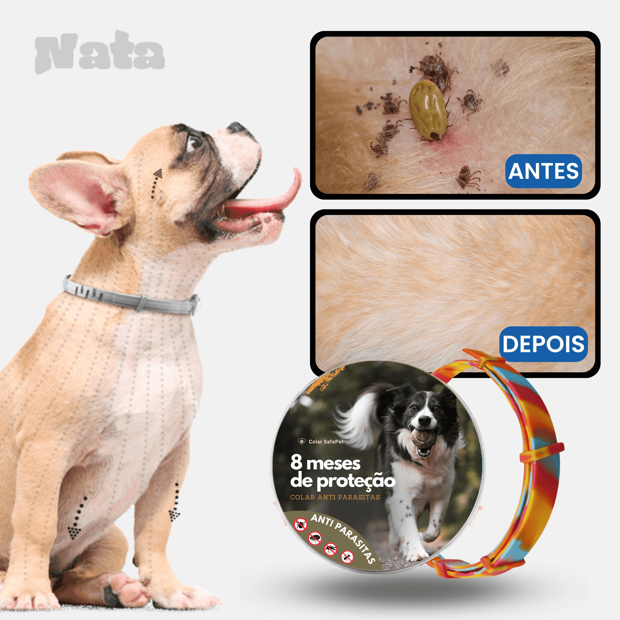 Colar SafePet - Anti Pulgas e Carrapatos [8 Meses de Proteção]